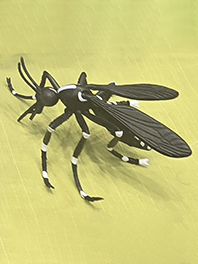ヒトスジシマカの模型